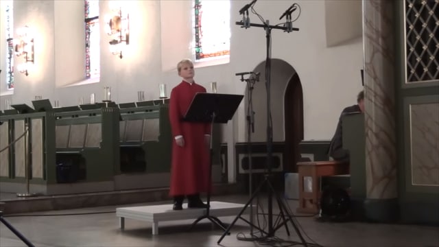 Ave Maria (Bach/Gonoud)